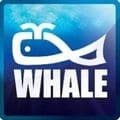 whale enterprises logo